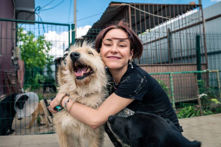 adopter chien